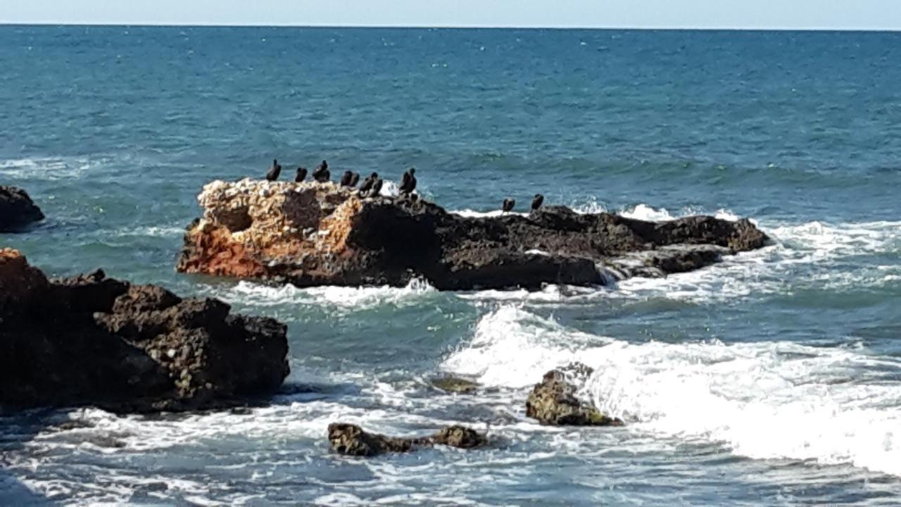 Precioso Apart Sur Y Norte Cerca Playa Y Centro - Cascadas De La Marina Dénia Exterior foto